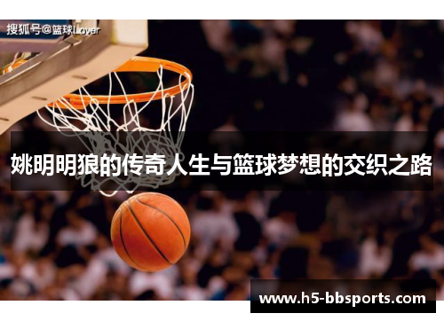姚明明狼的传奇人生与篮球梦想的交织之路