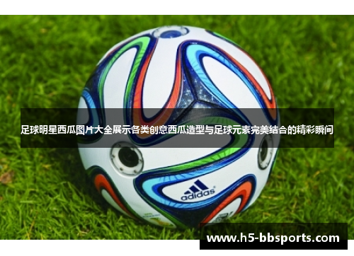 足球明星西瓜图片大全展示各类创意西瓜造型与足球元素完美结合的精彩瞬间